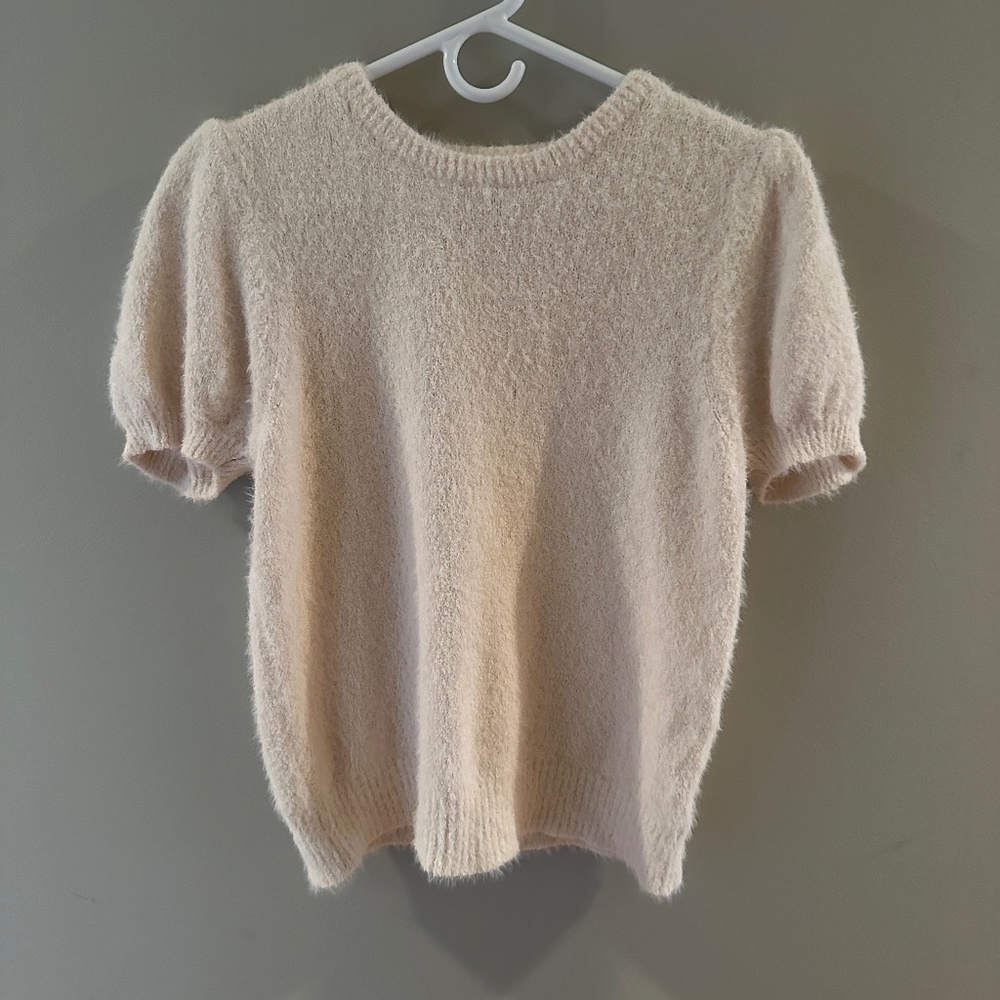 The Reeds fuzzy top